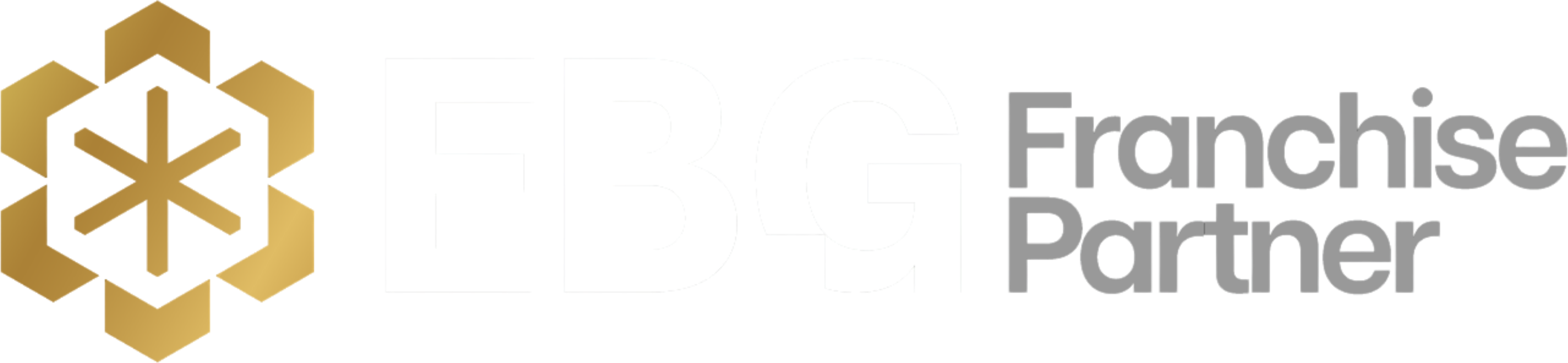EBG Franchise Partner